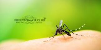 Аллергия на укусы комаров: симптомы, лечение и профилактика