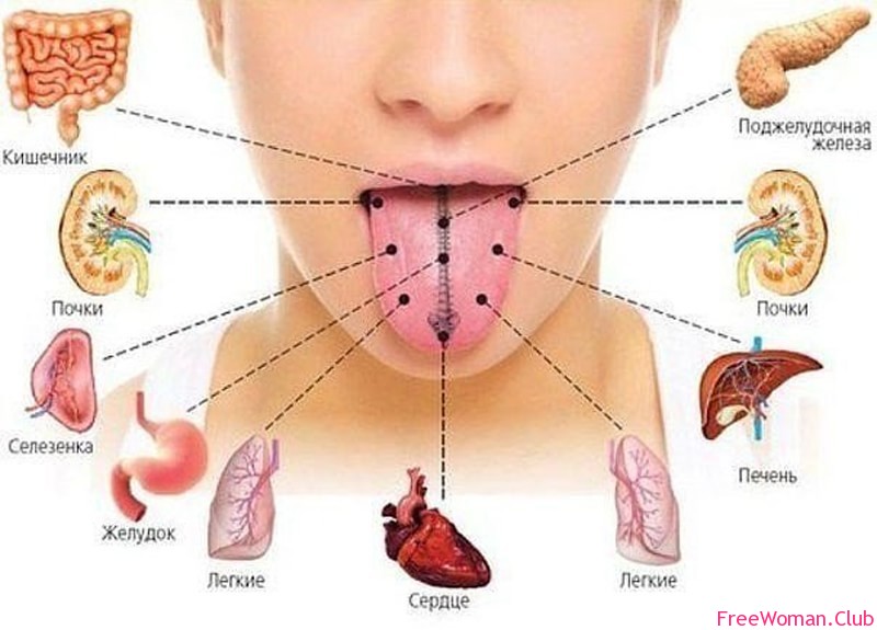 Как определить болезнь по языку