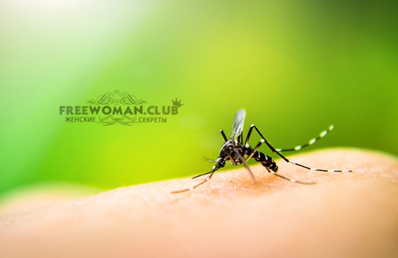 Аллергия на укусы комаров: симптомы, лечение и профилактика