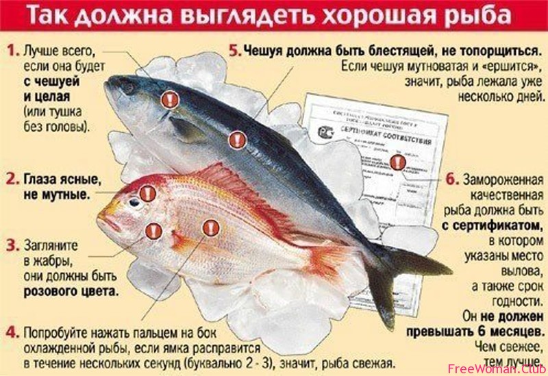 Как правильно  выбрать рыбу