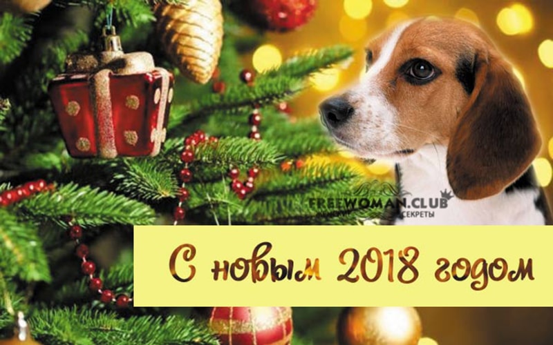 Поздравления с Новым годом Собаки 2018: лучшие из лучших