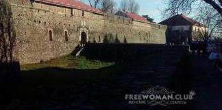 ТОП-8 самых красивых замков Украины