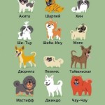 Азиатские собаки