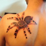 паук на плече